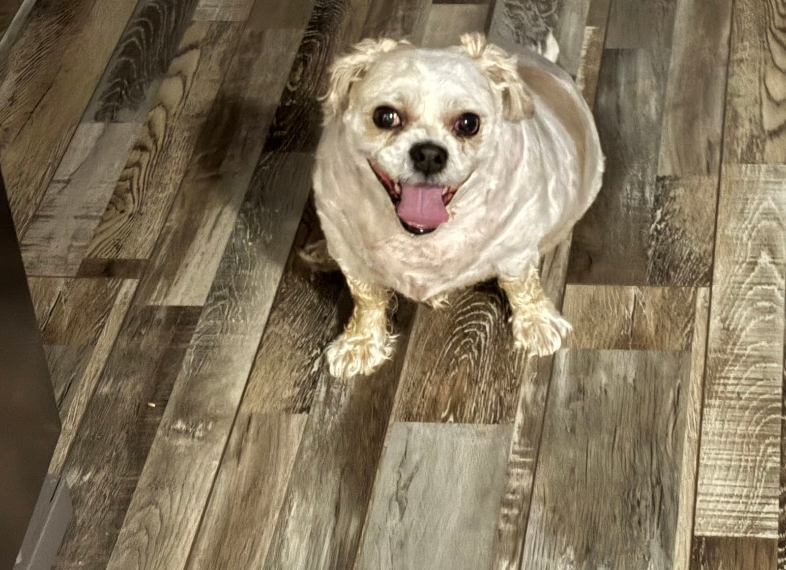 Roscoe