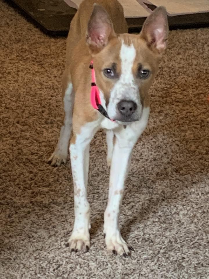 Charlie