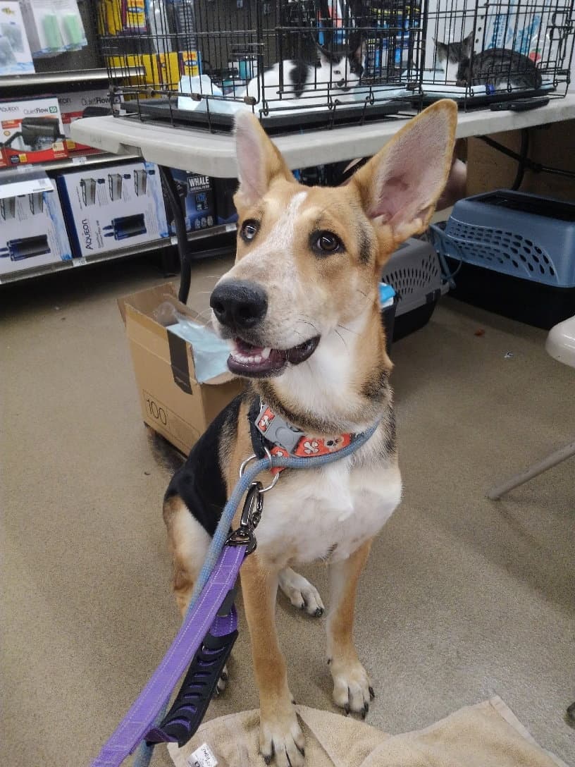 Ellie aka Eddy