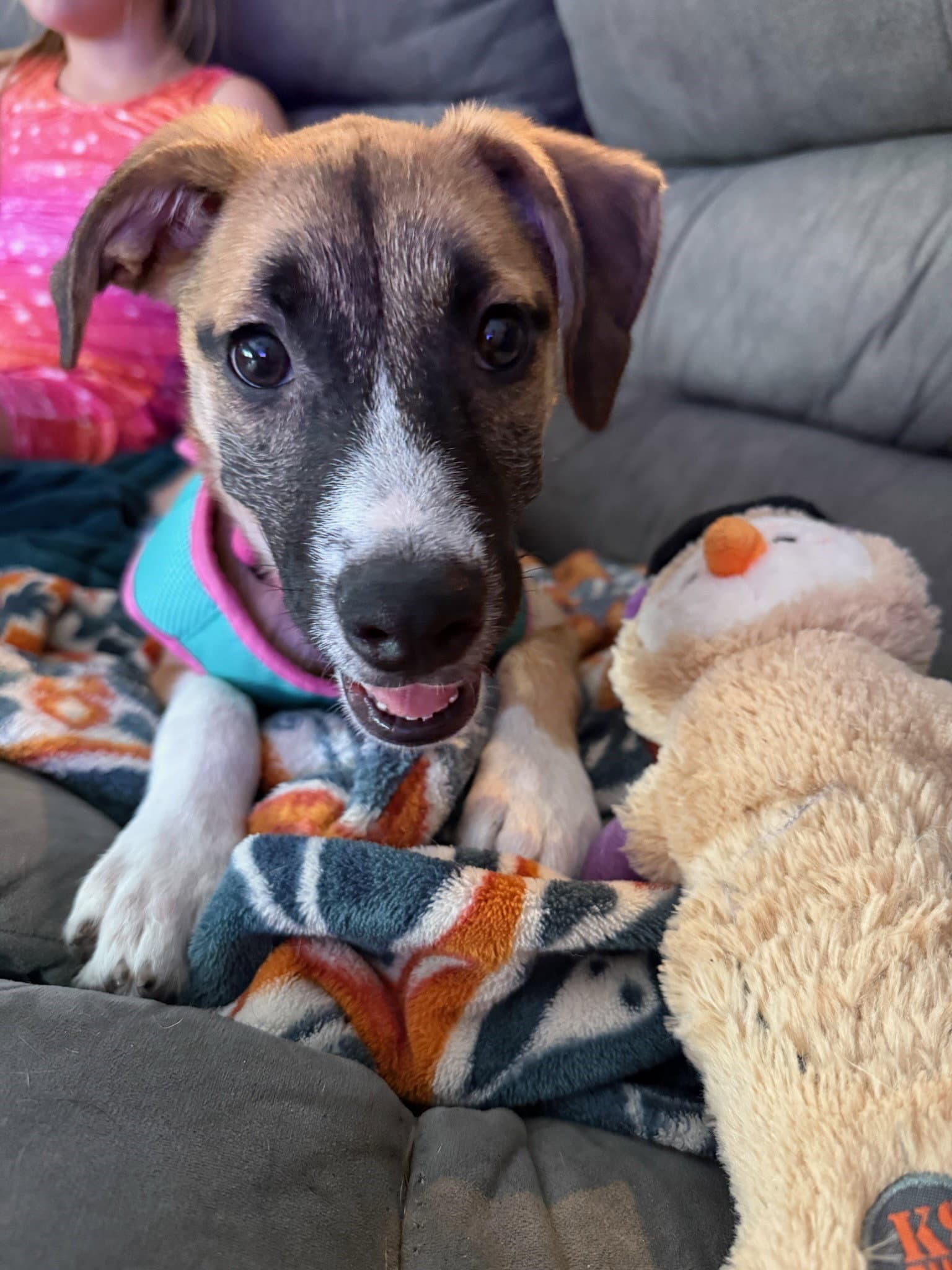Rosie
