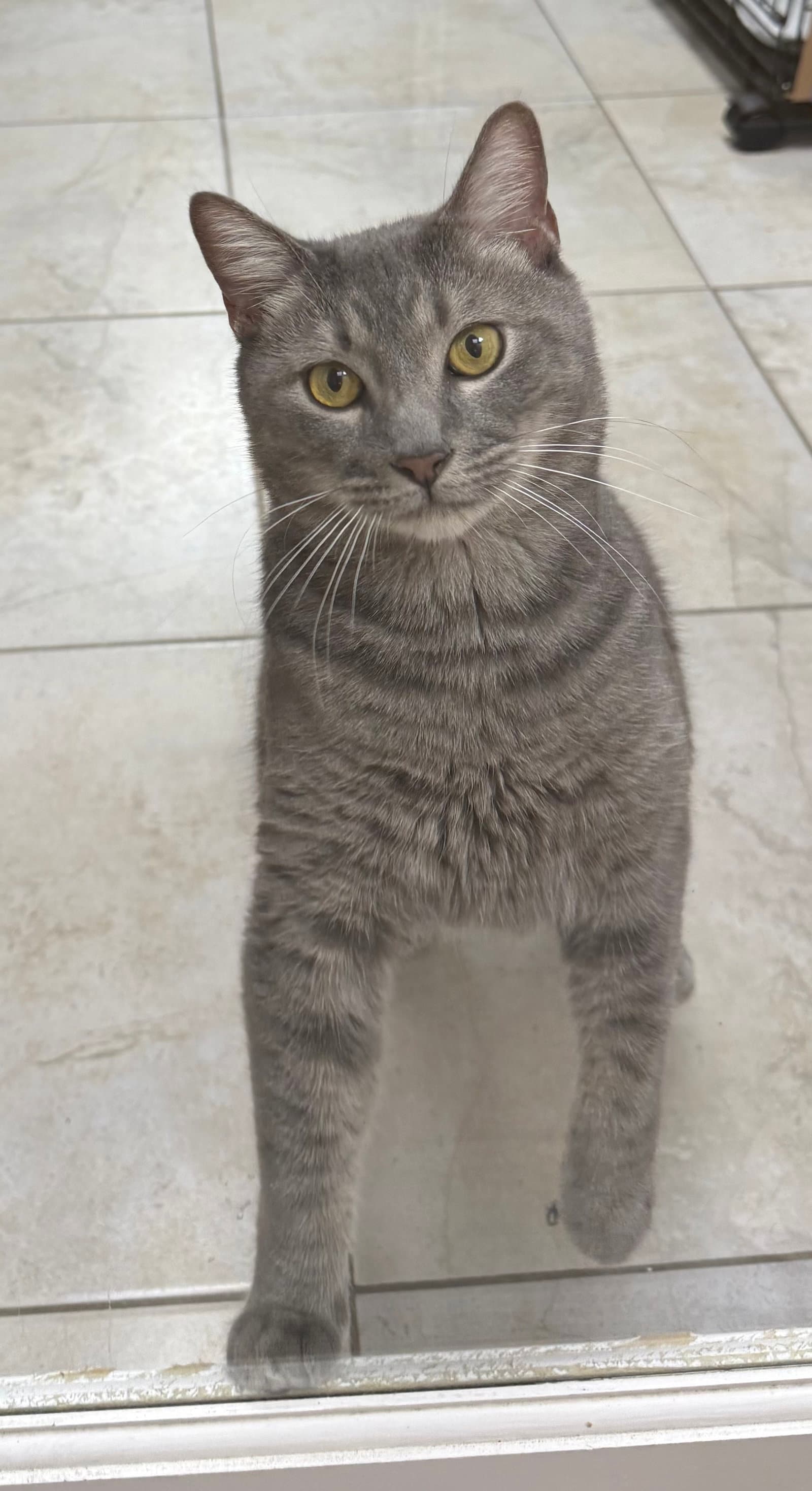 Terrance