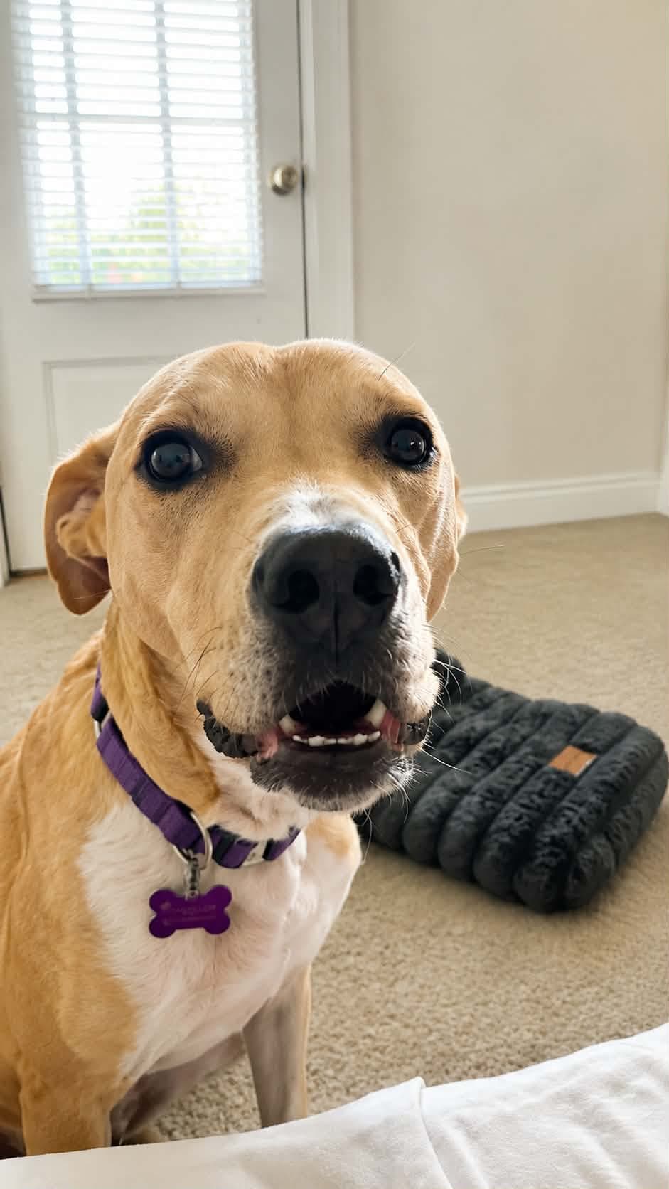 Rosie