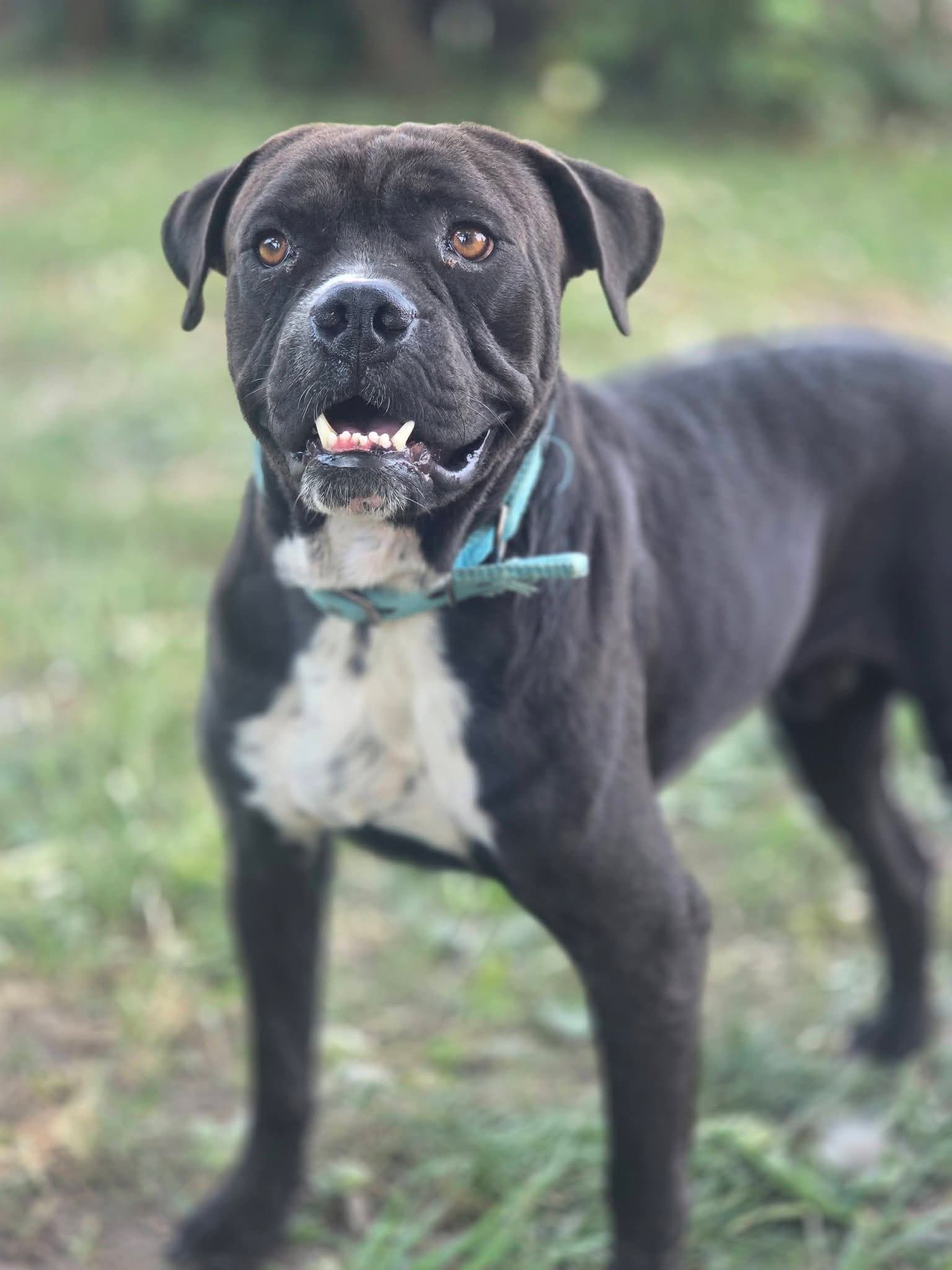 Pablo