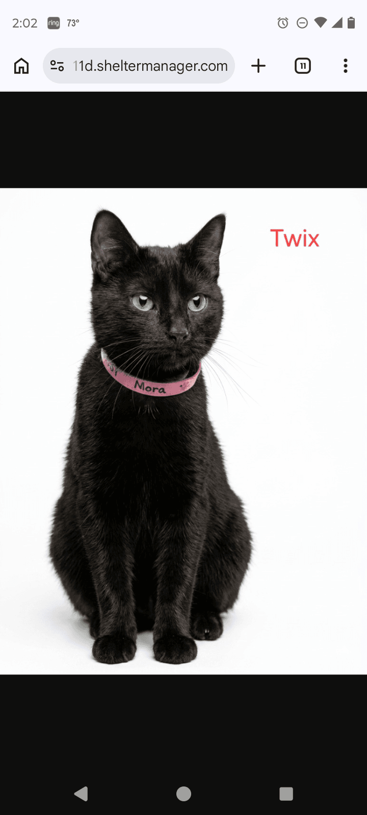 Mama Trix
