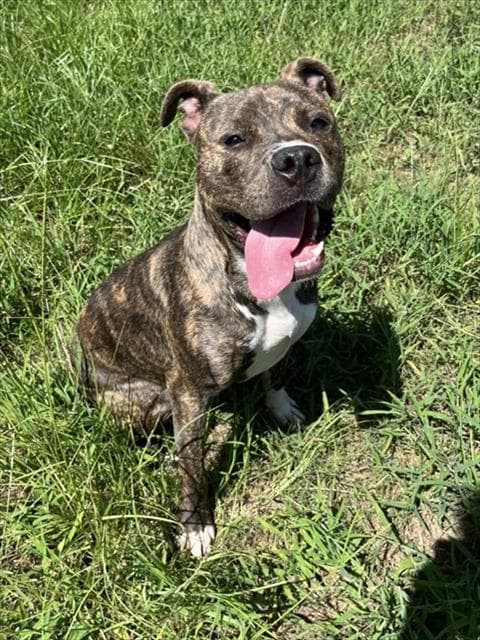BUSTER