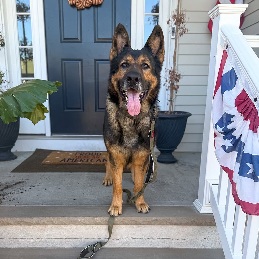 Rambo