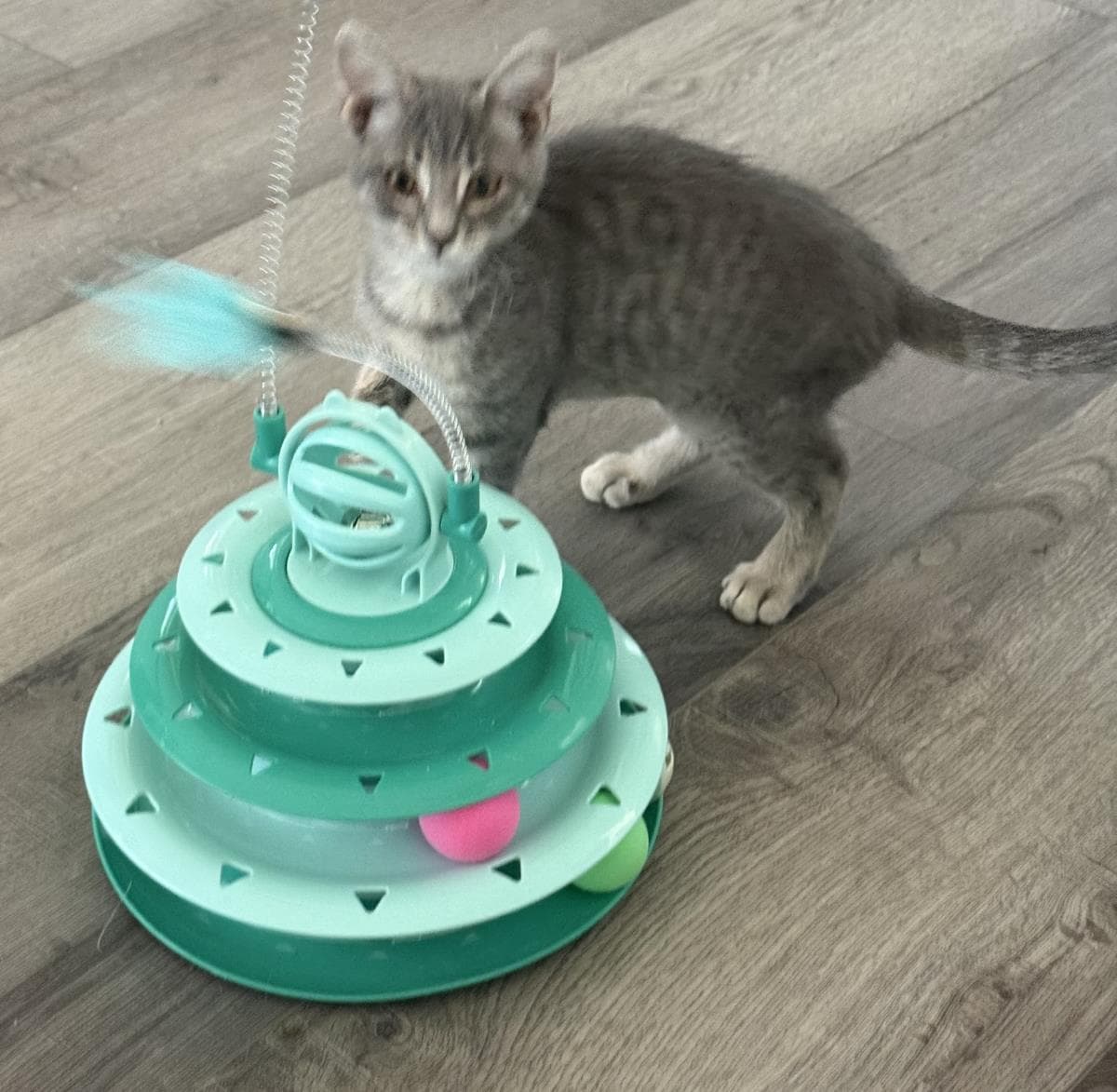 Sterling Katt