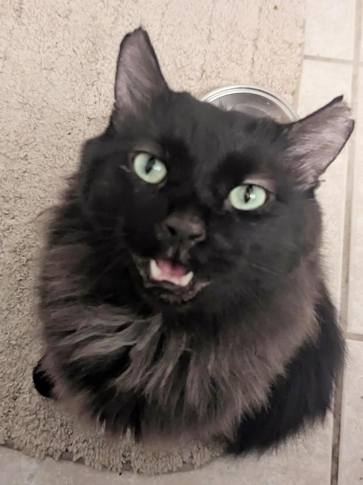 Buddy O'Malley