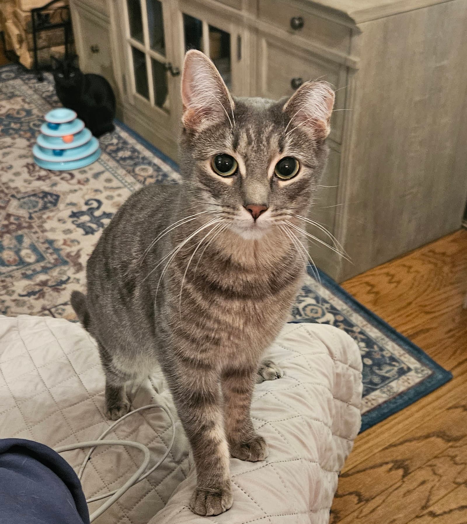 SUZIE