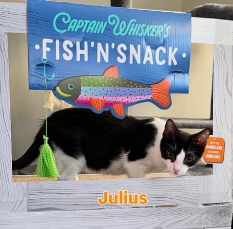 Julius