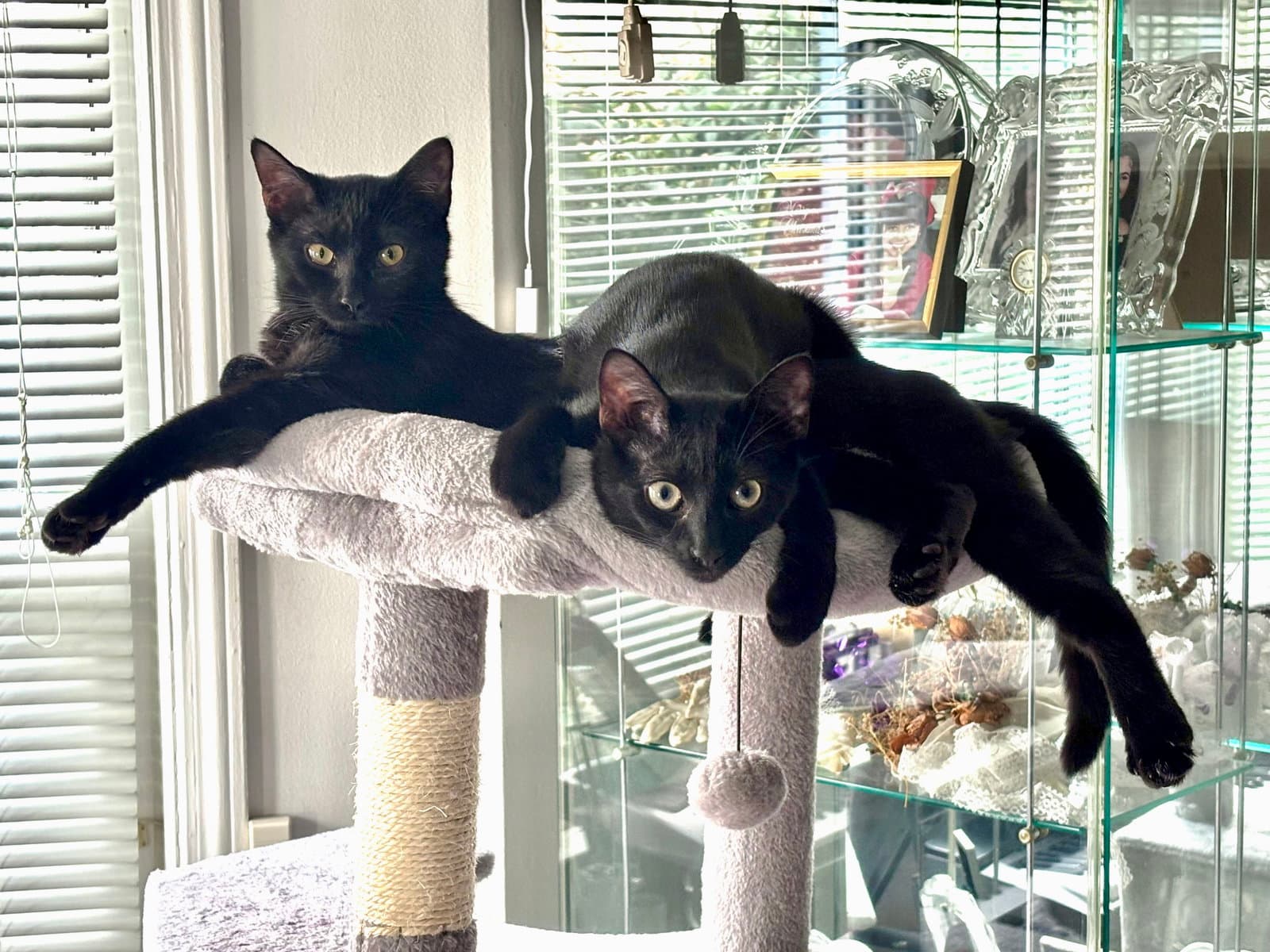 Vito & Zita