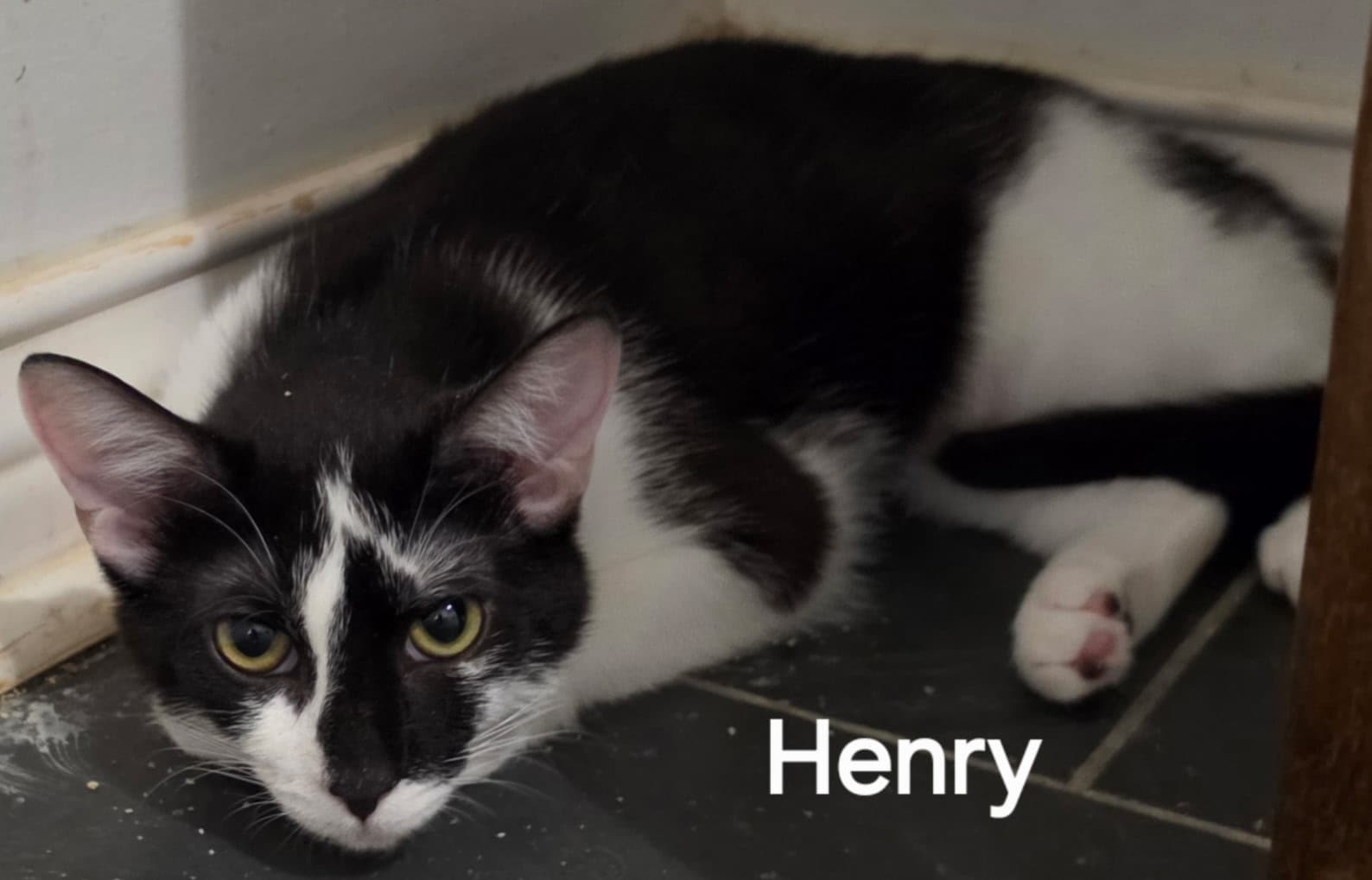 Henry