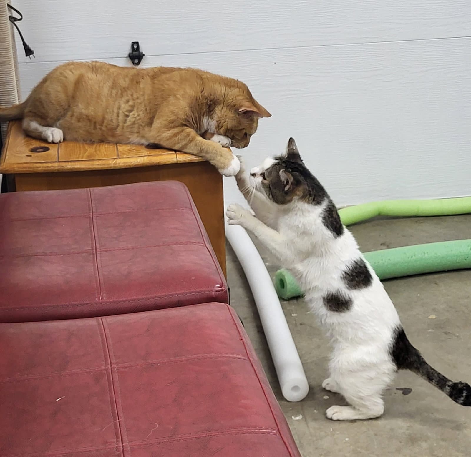 SNEEZY & POPEYE #2012- Offered by Owner-