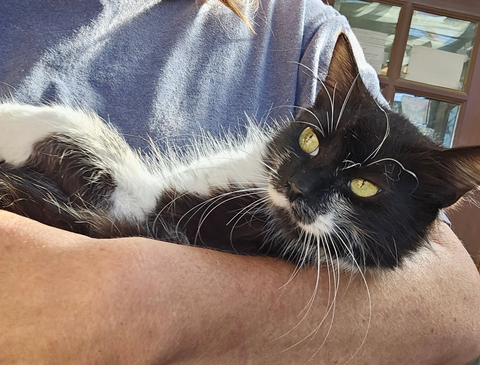 GIDGET #2024 - Offered by Owner -