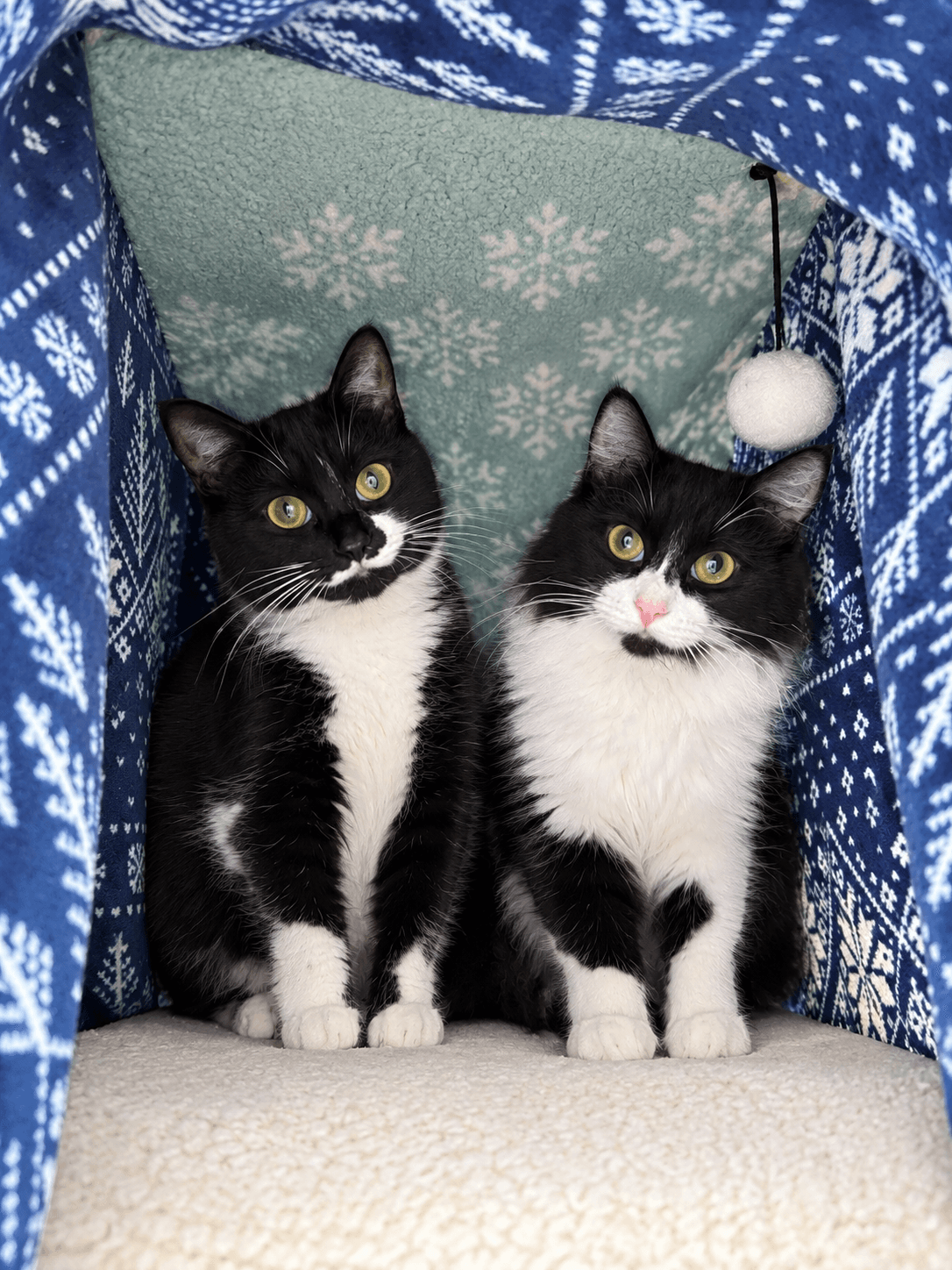 BORA & BURMA #2038A - Offered by Owner - Bonded