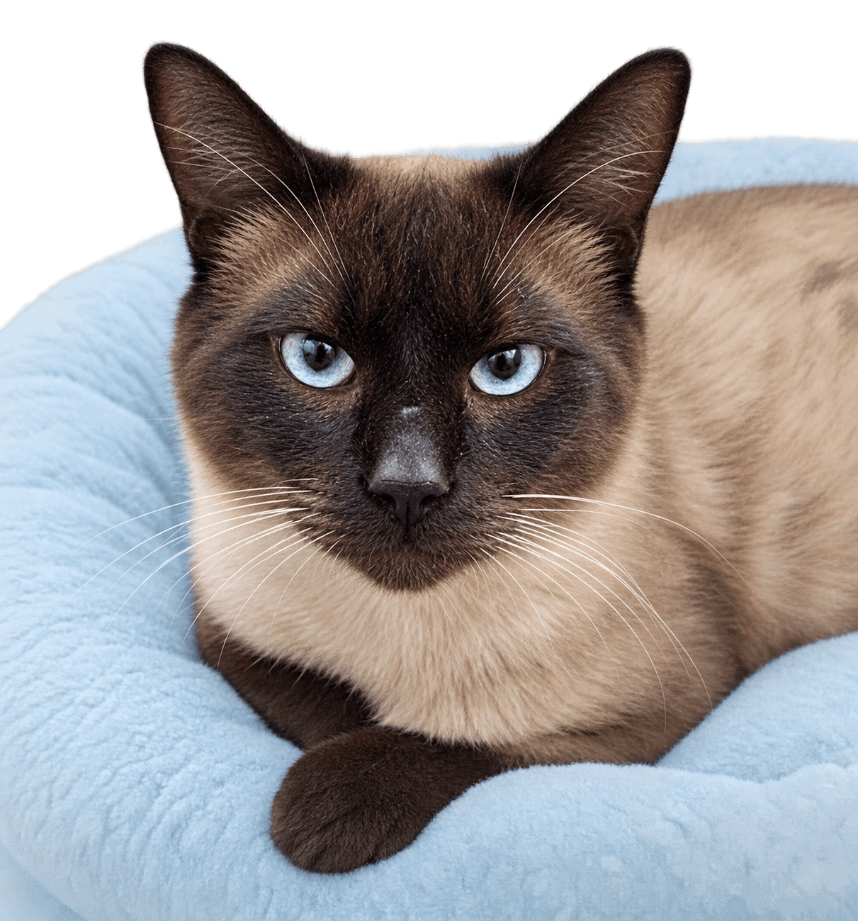 KITTY MARTIN #2038 - Offered by Owner - Friendly