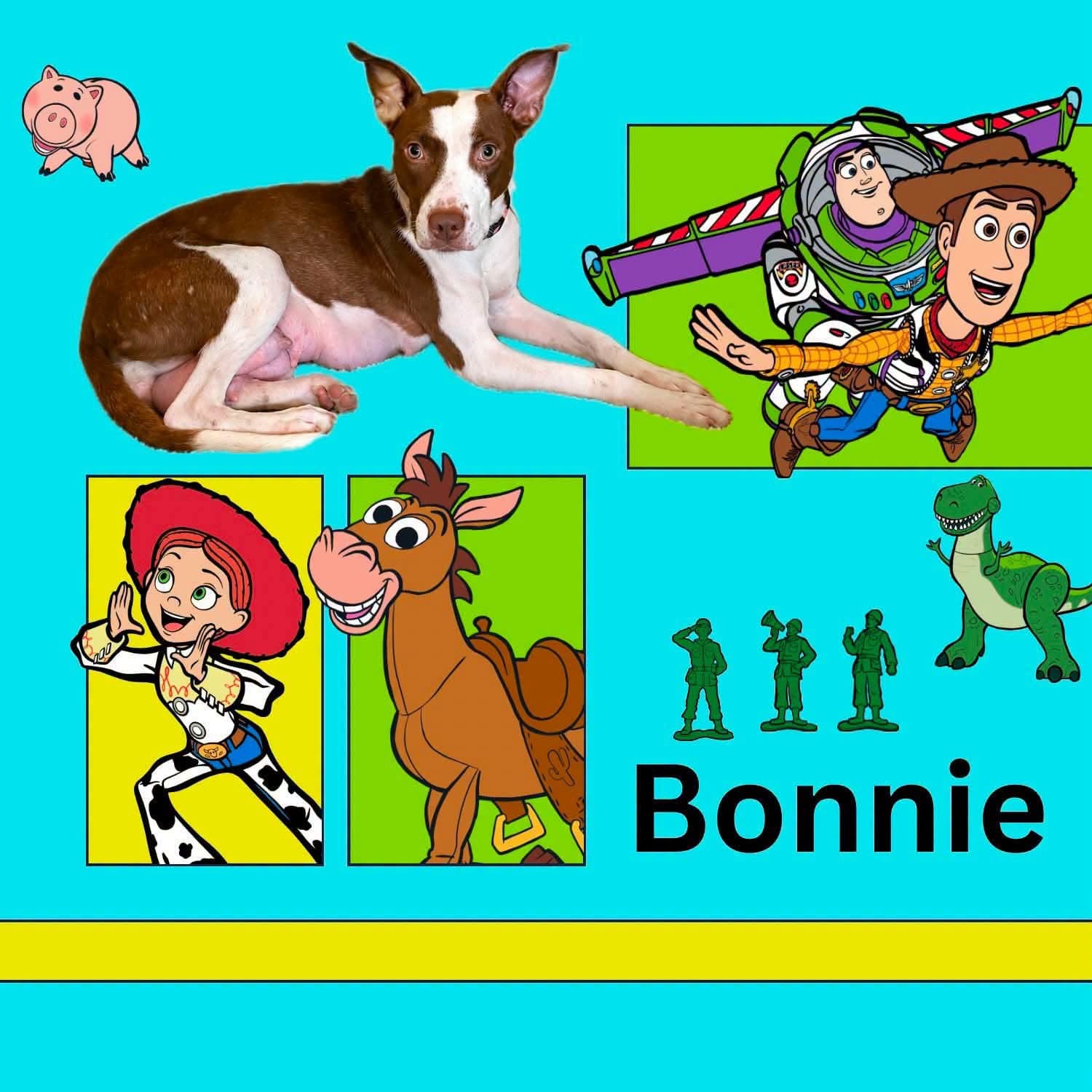 Bonnie