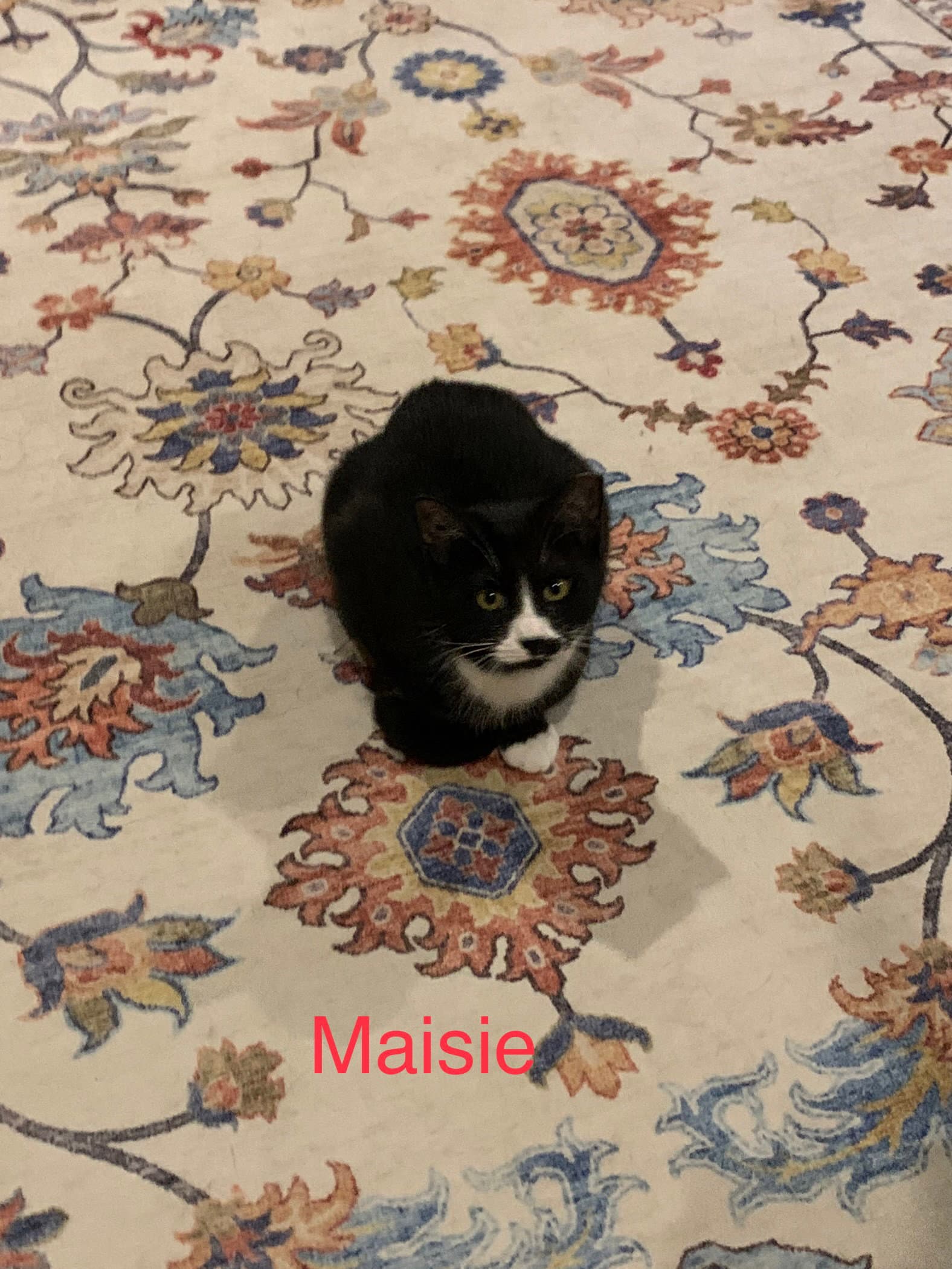 Courtesy List: Maisie