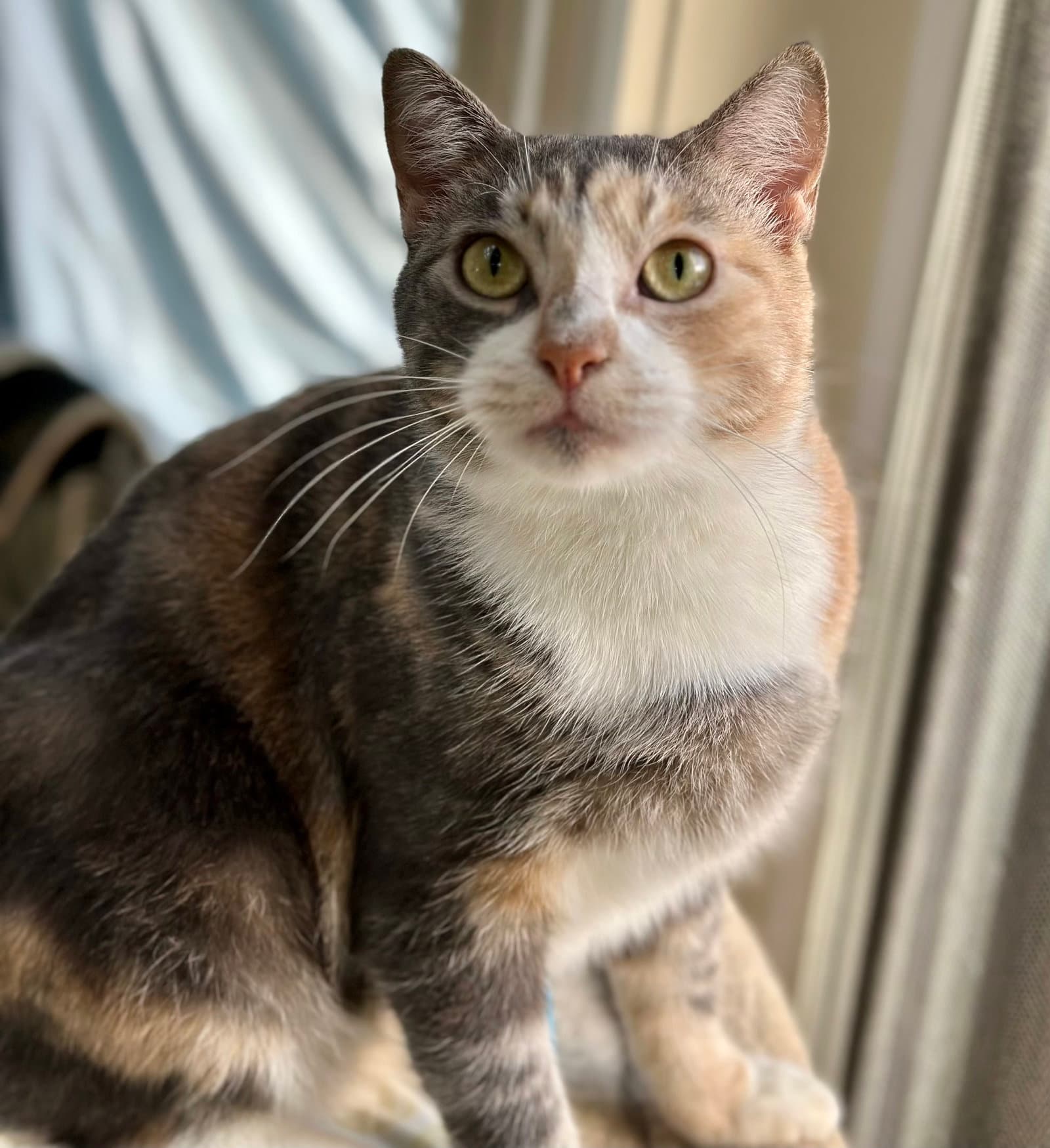 Mali