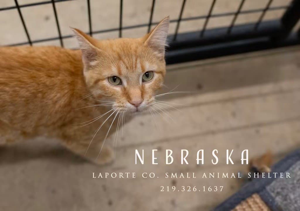 Nebraska