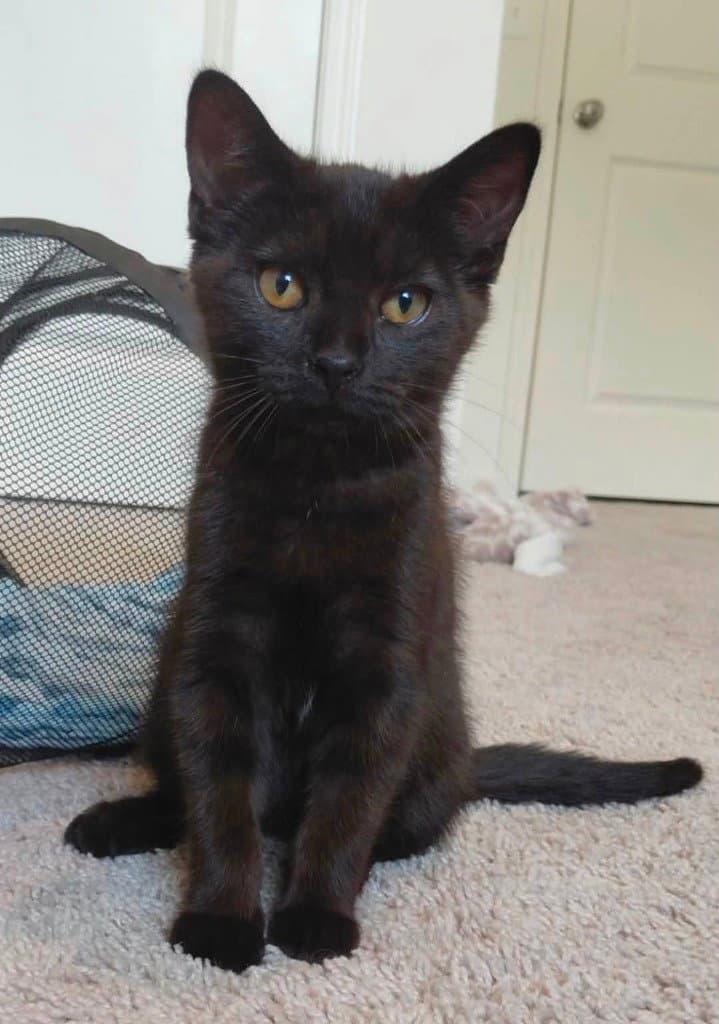 Winnie