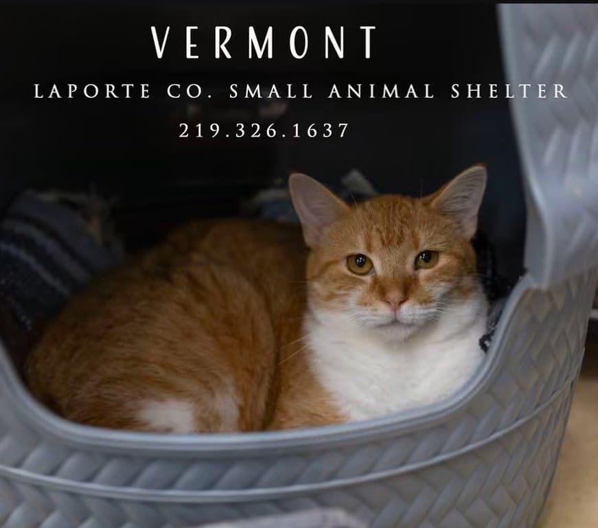 Vermont