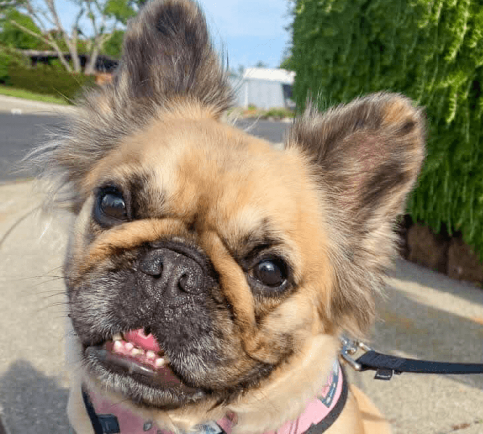 Stormie