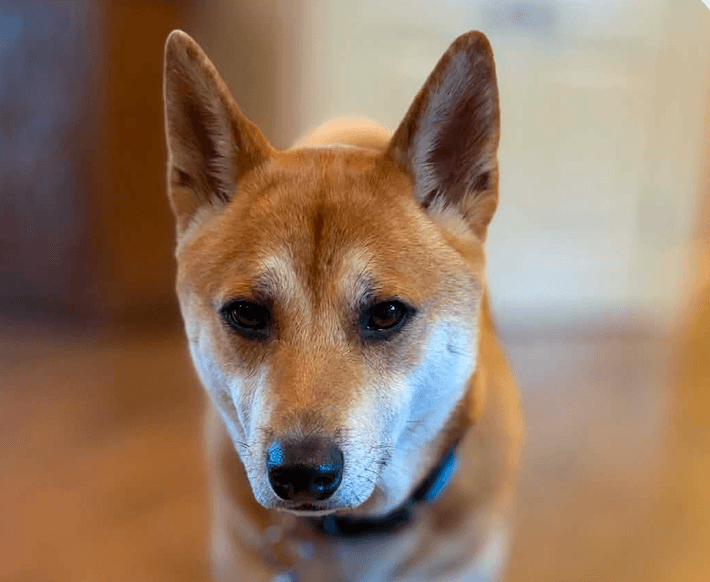 Jax
