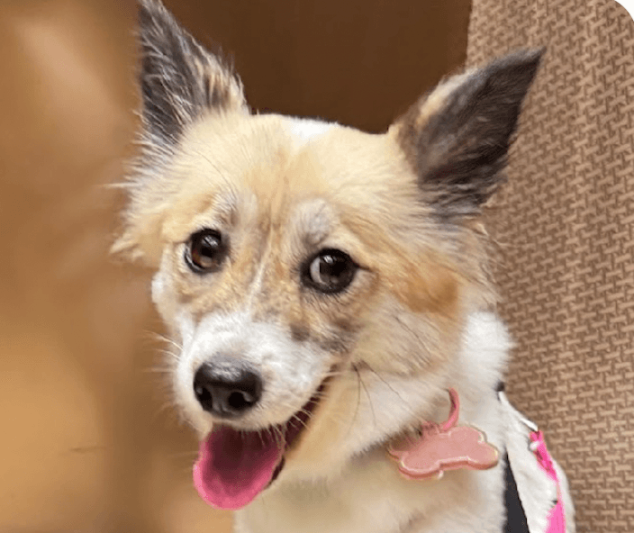Gina