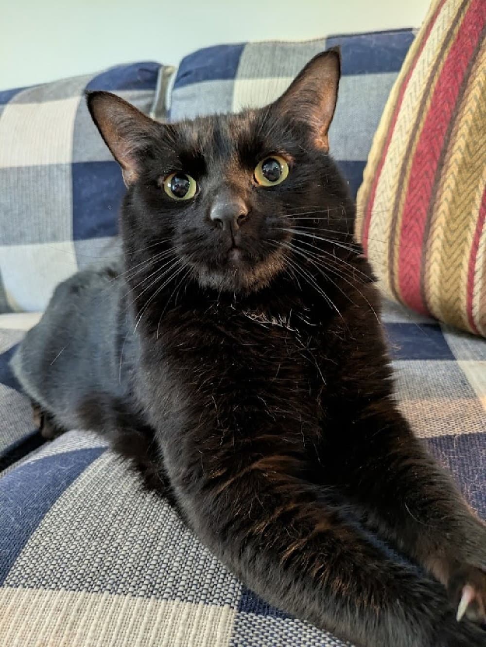 Howard