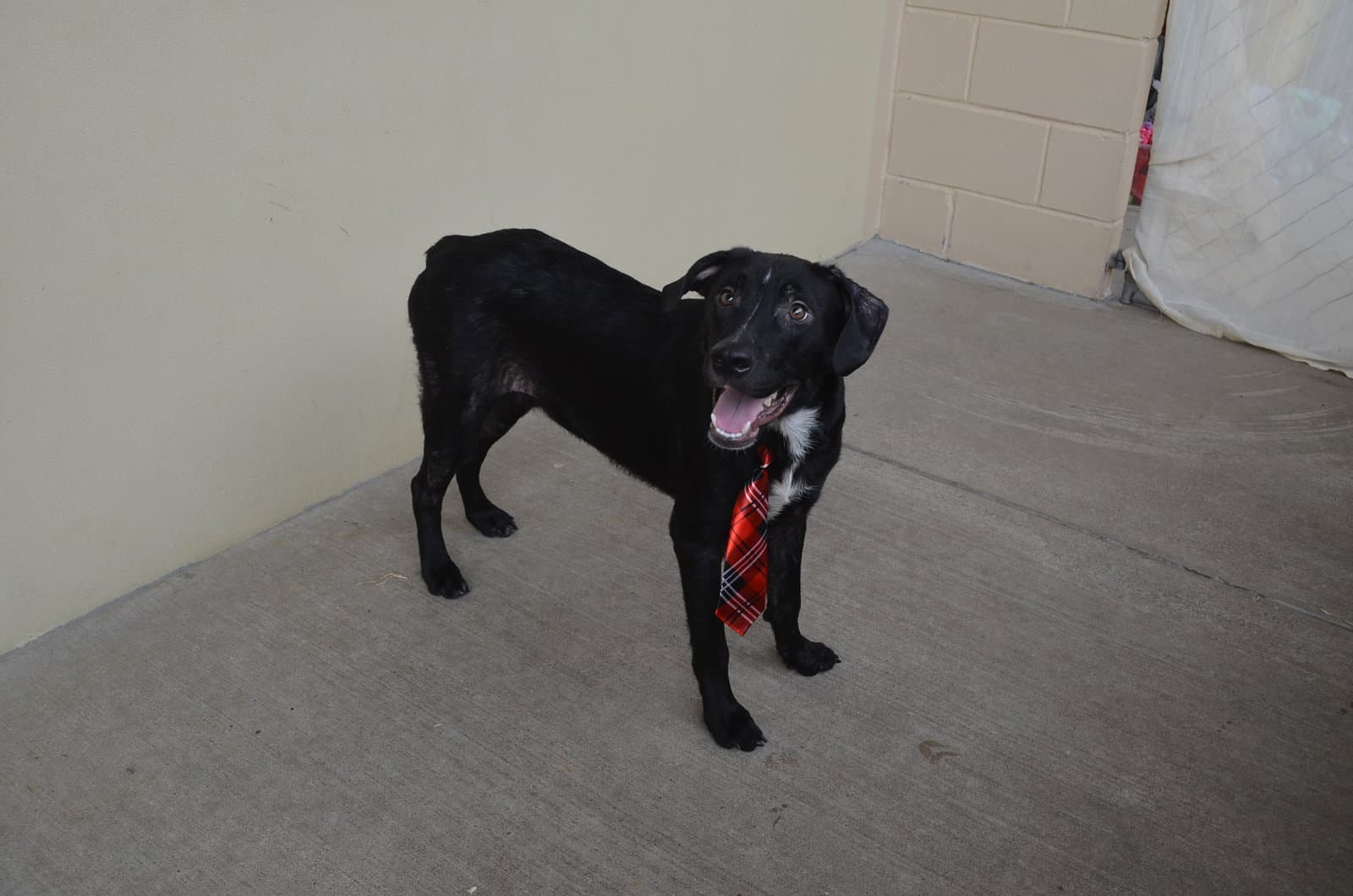 Paul (In Foster)