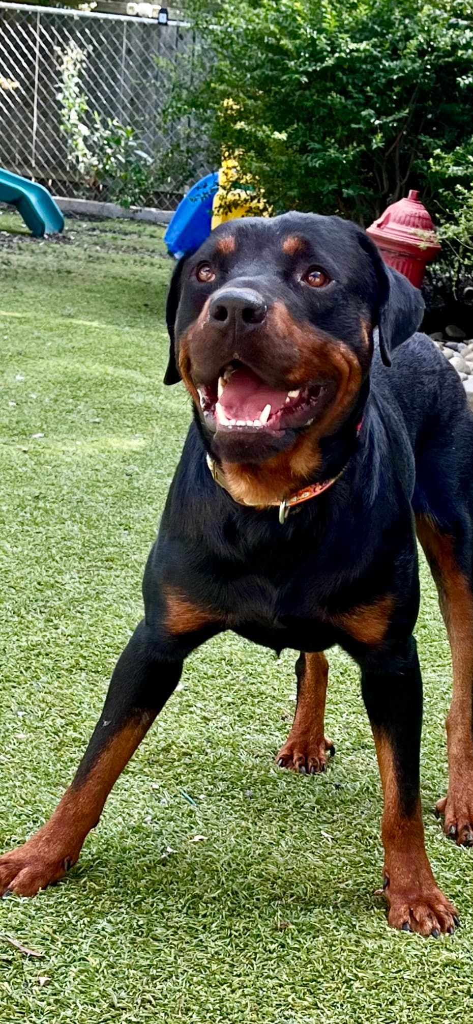 Ben