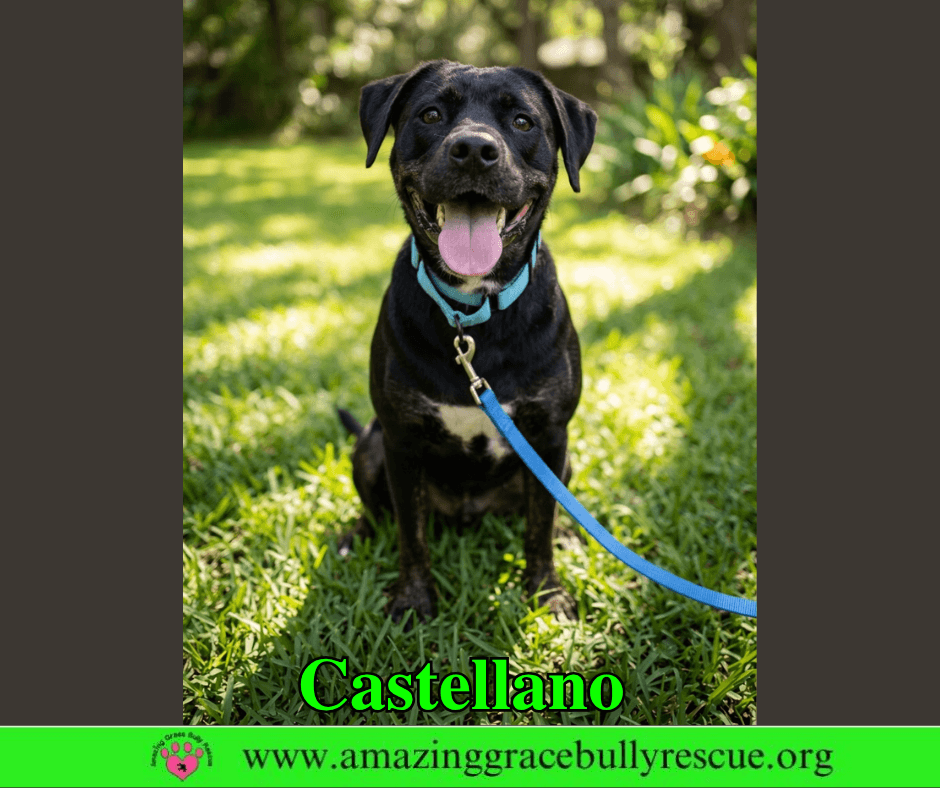 Castellano