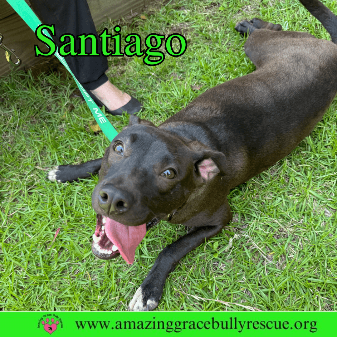 Santiago