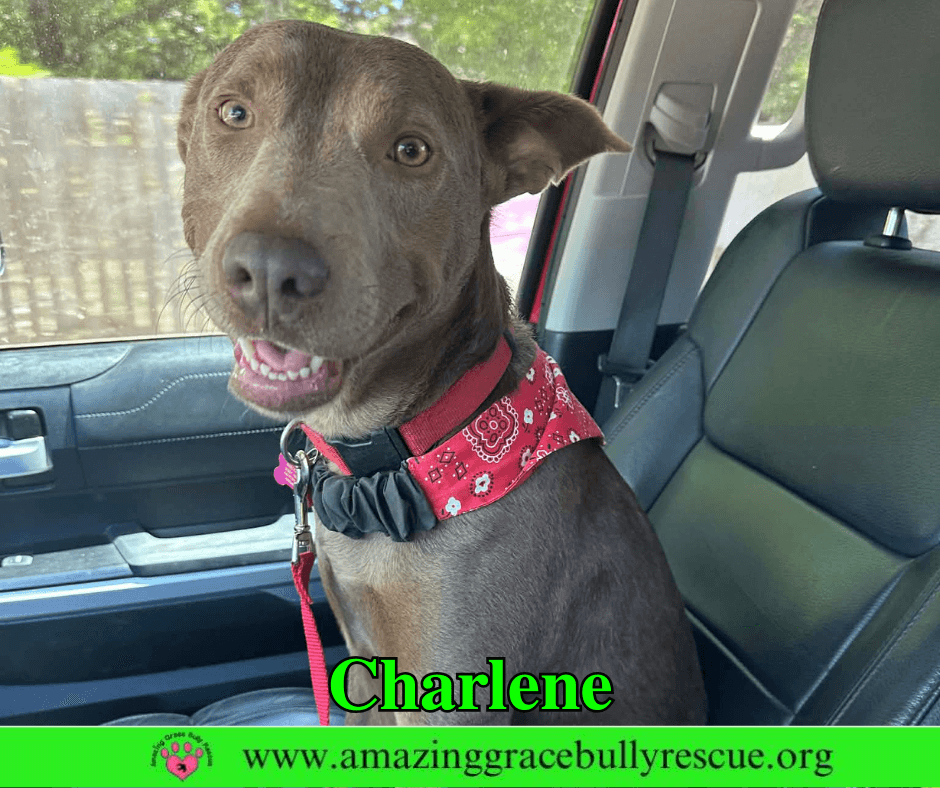 Charlene (Char)