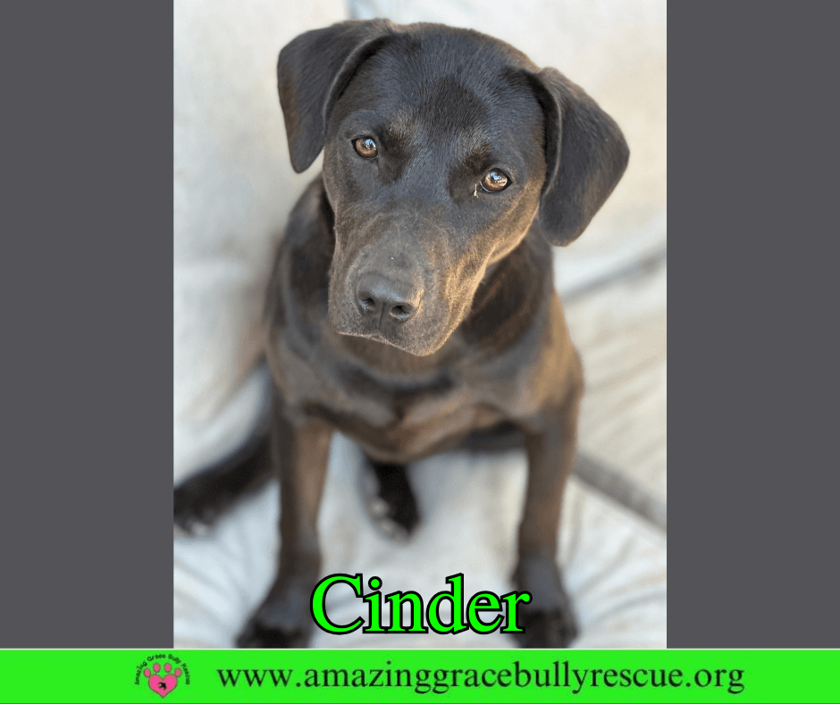 Cinder