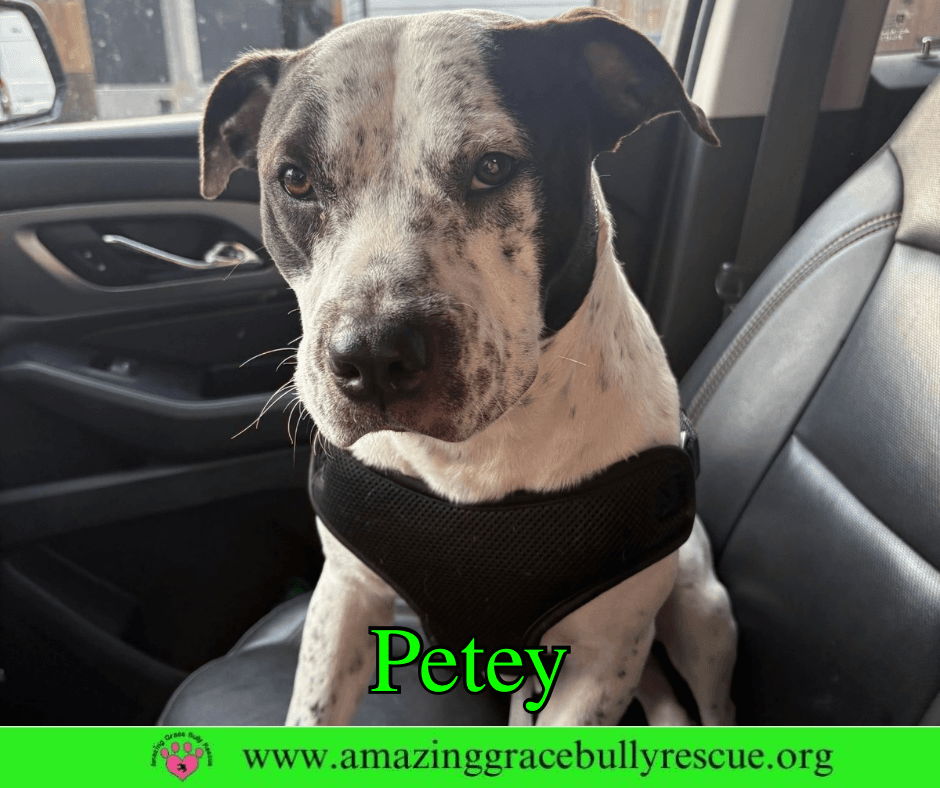 Petey