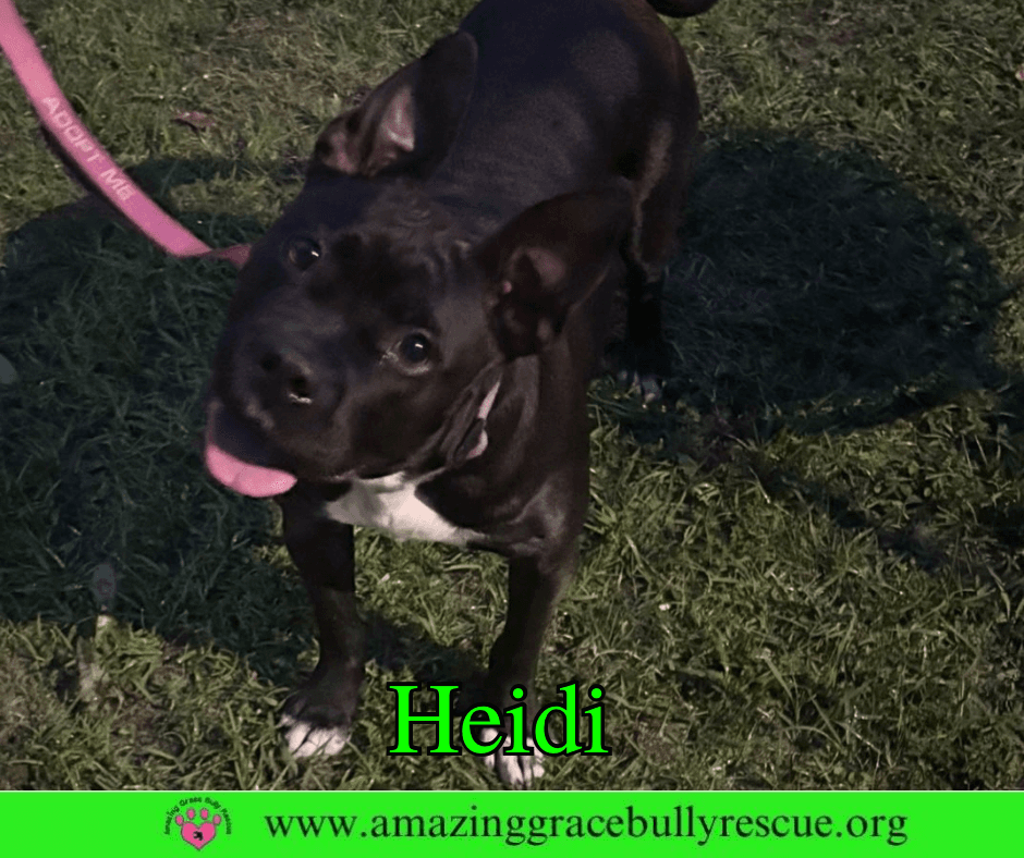 Heidi