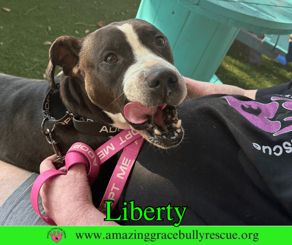 Liberty 3