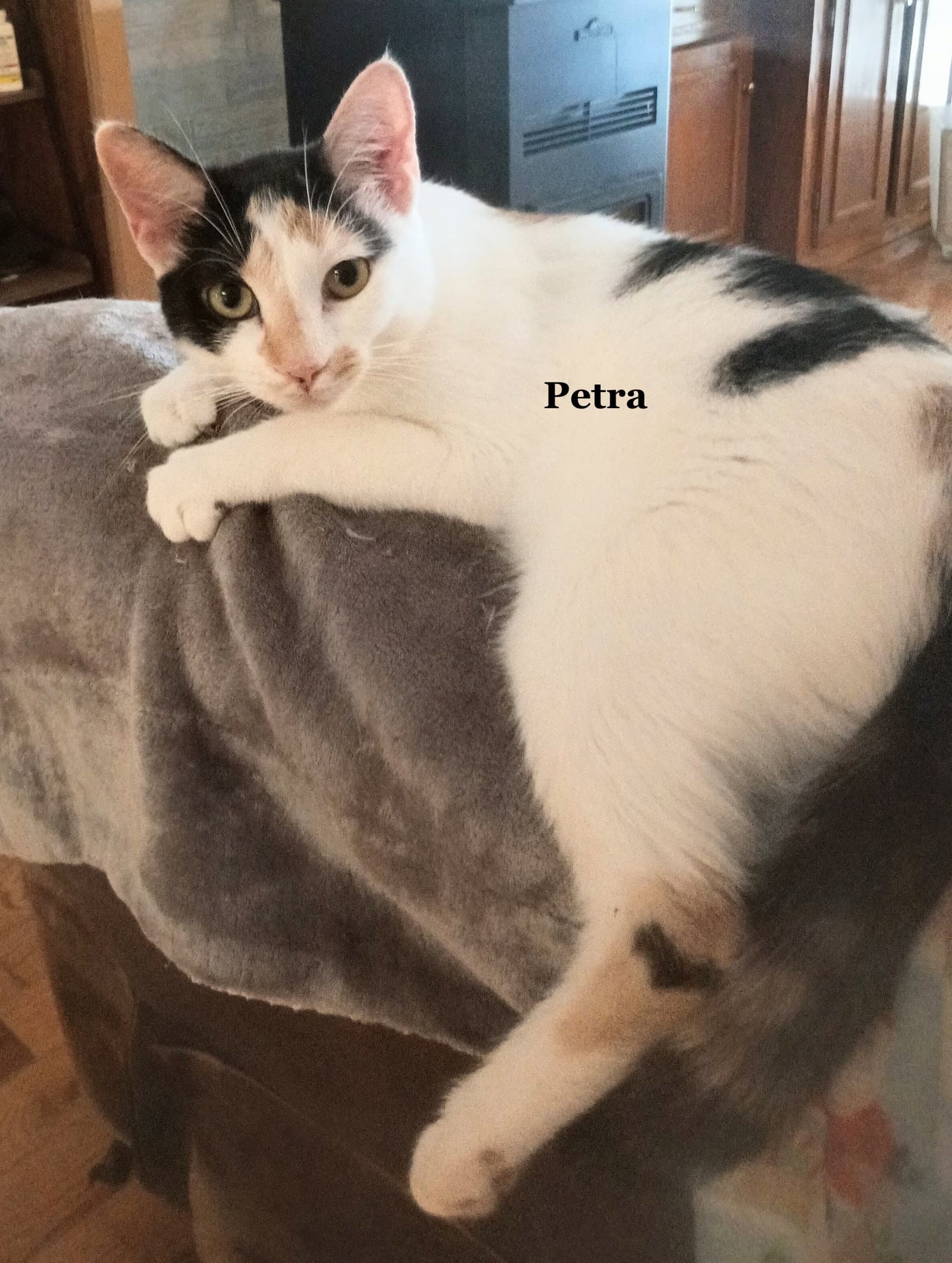 Petra