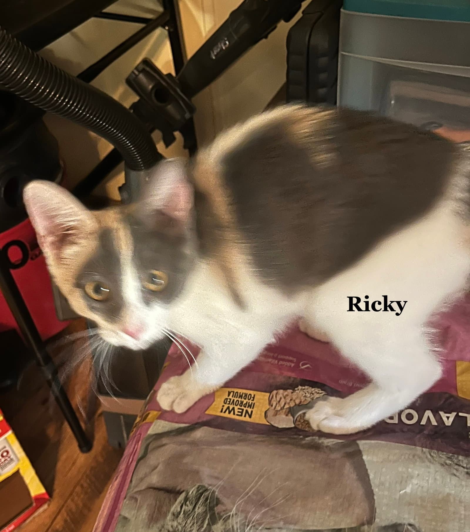 Ricky