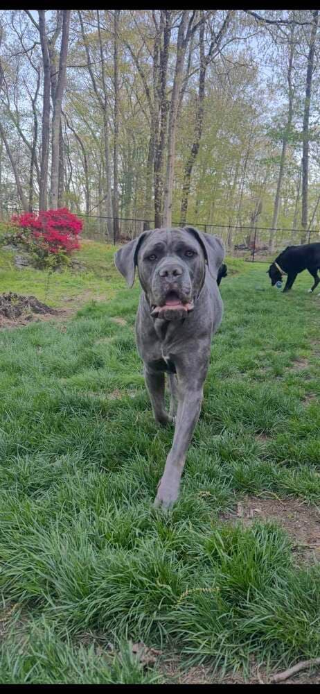 Hendrix (NY)