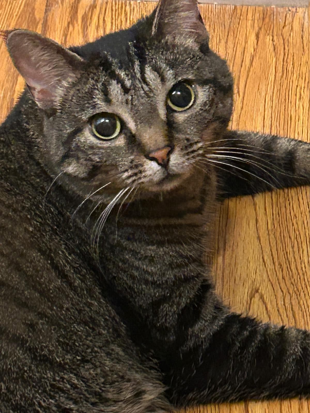 Izzy