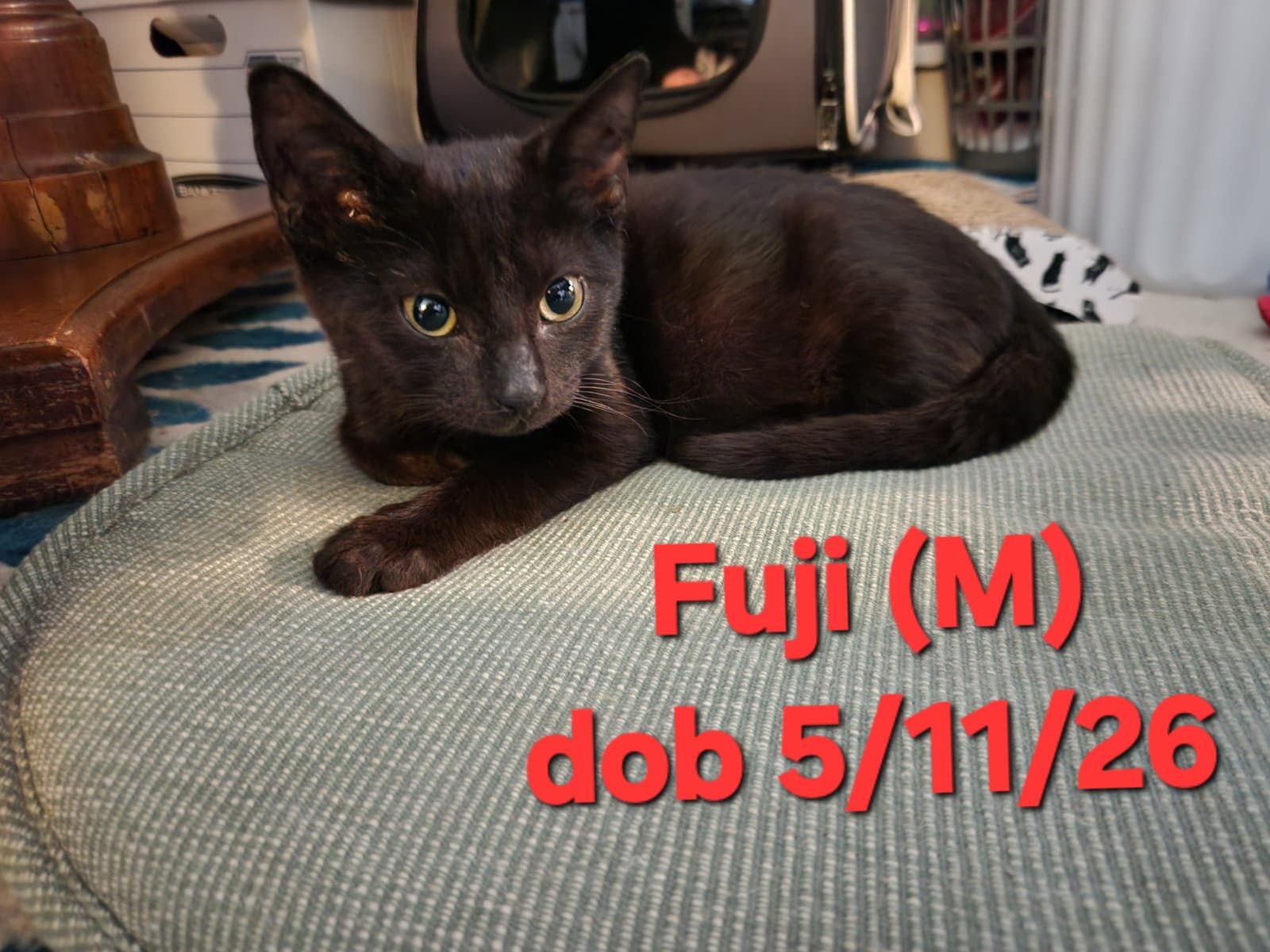 Fuji