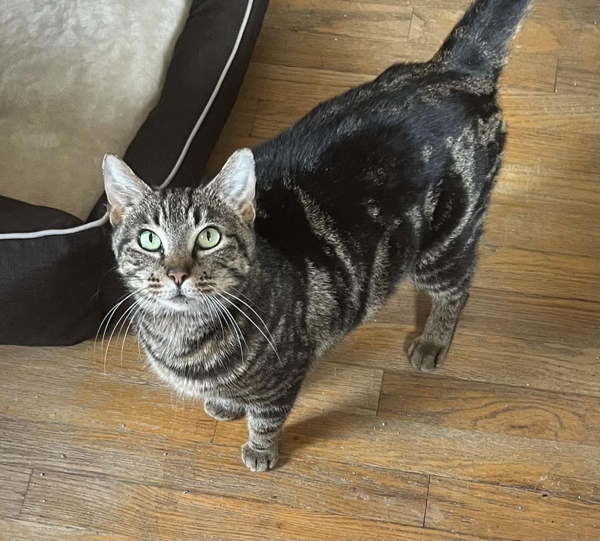 Zoe