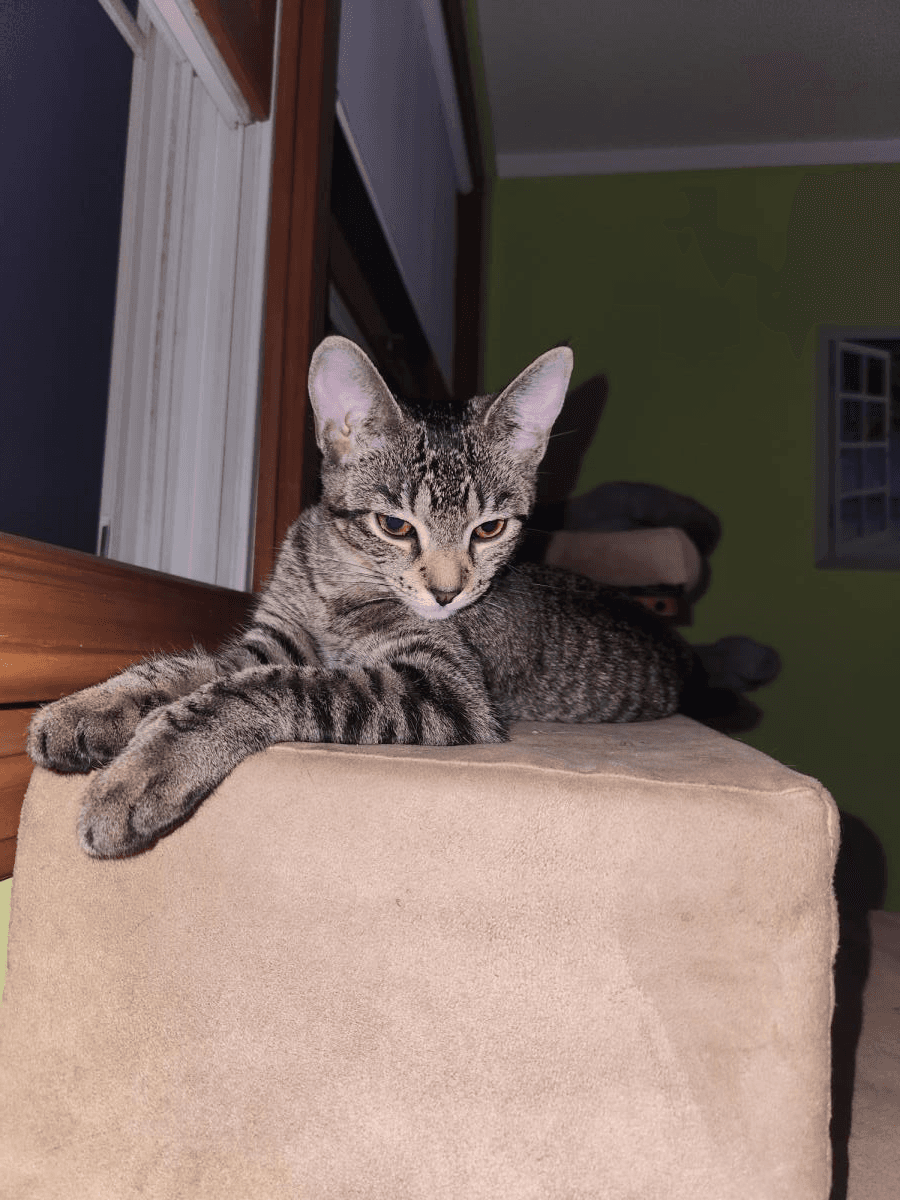 Rosie