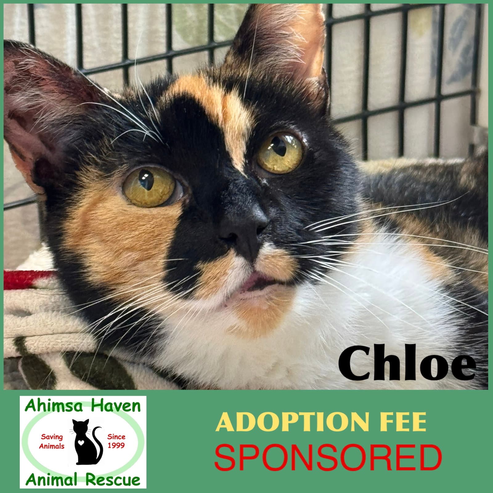 Chloe