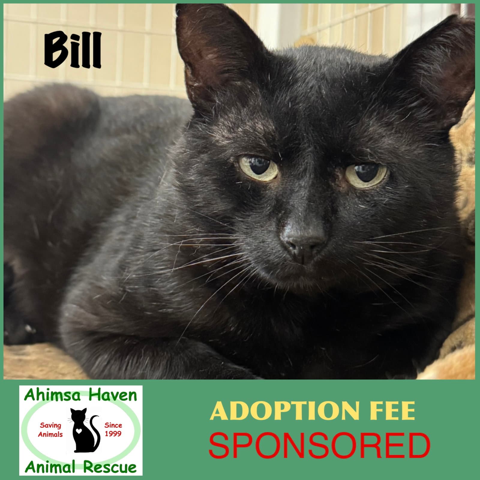 Bill