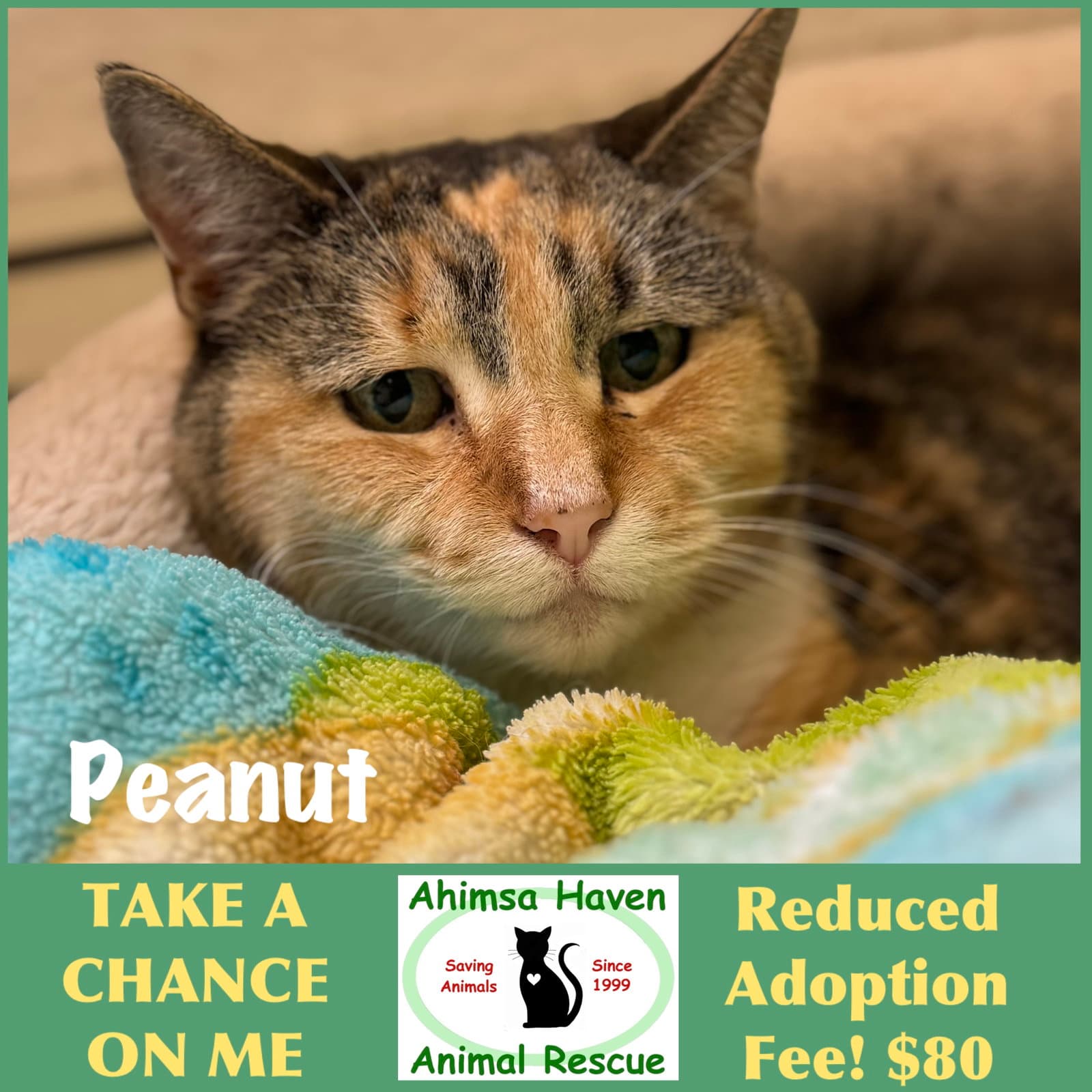 Peanut