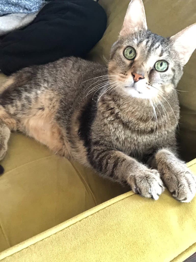 Leroy